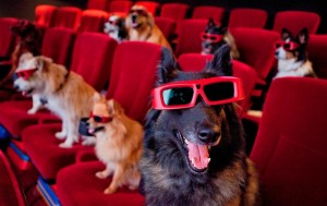 dog-cinema