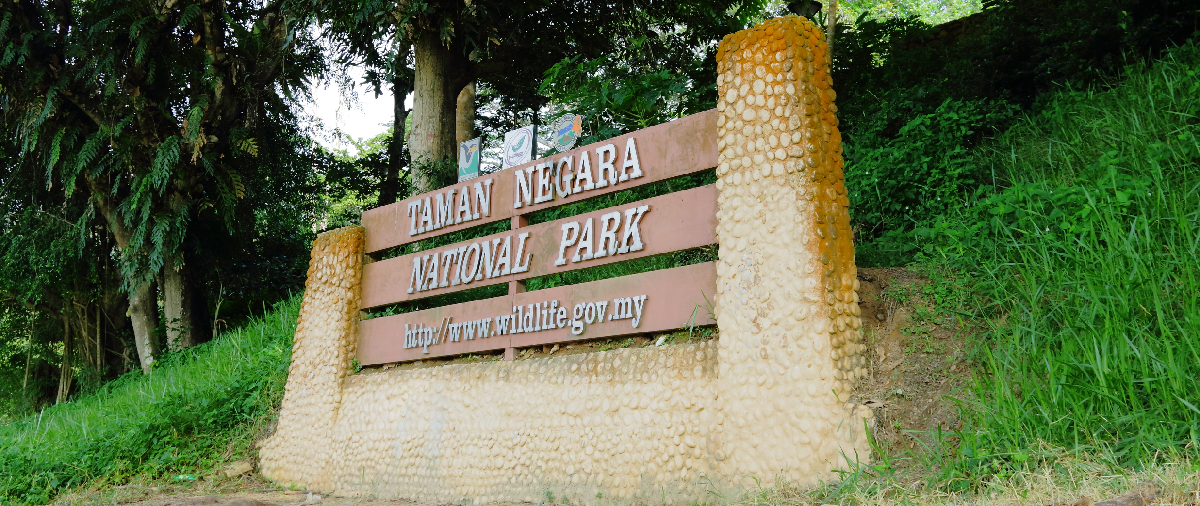 PASAPORTE A MALASIA! Capítulo 2: Taman Negara y Santuario de Elefantes