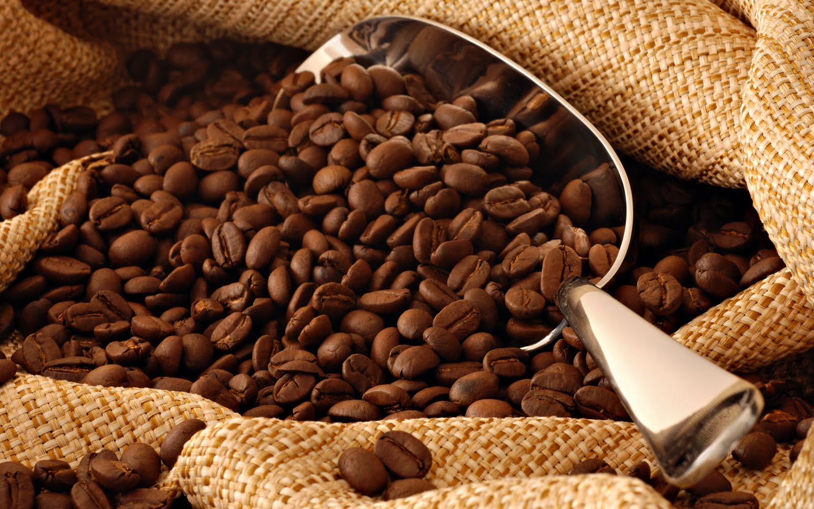 Protegido: “El café: el motor de la sociedad”